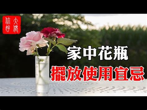 客廳放乾燥花風水|乾燥花能放客廳嗎？風水中不可不知的乾燥花居家擺放原則